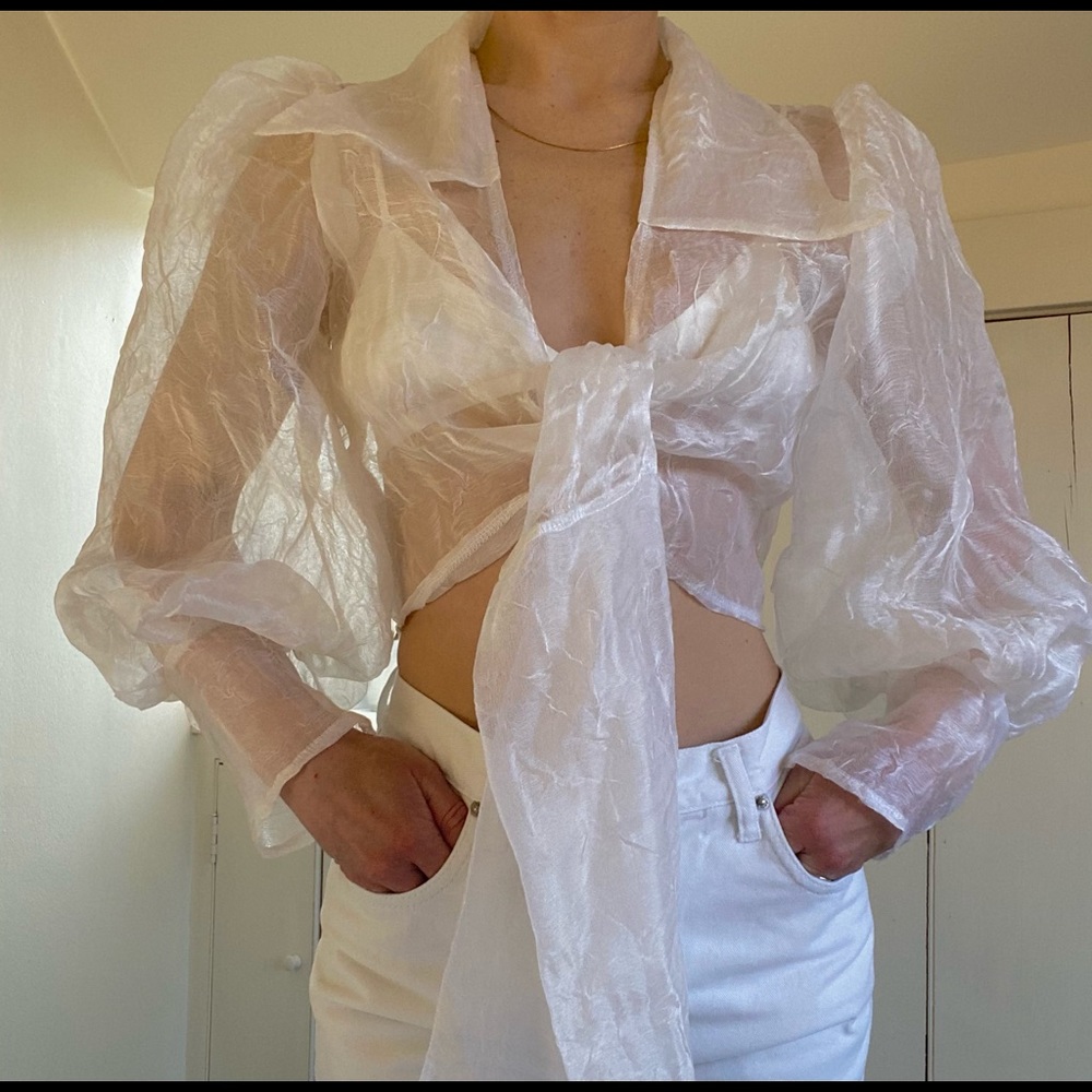 Maison Cleo Julie Crinkled Silk Organza Blouse xs - Picture 6 of 13
